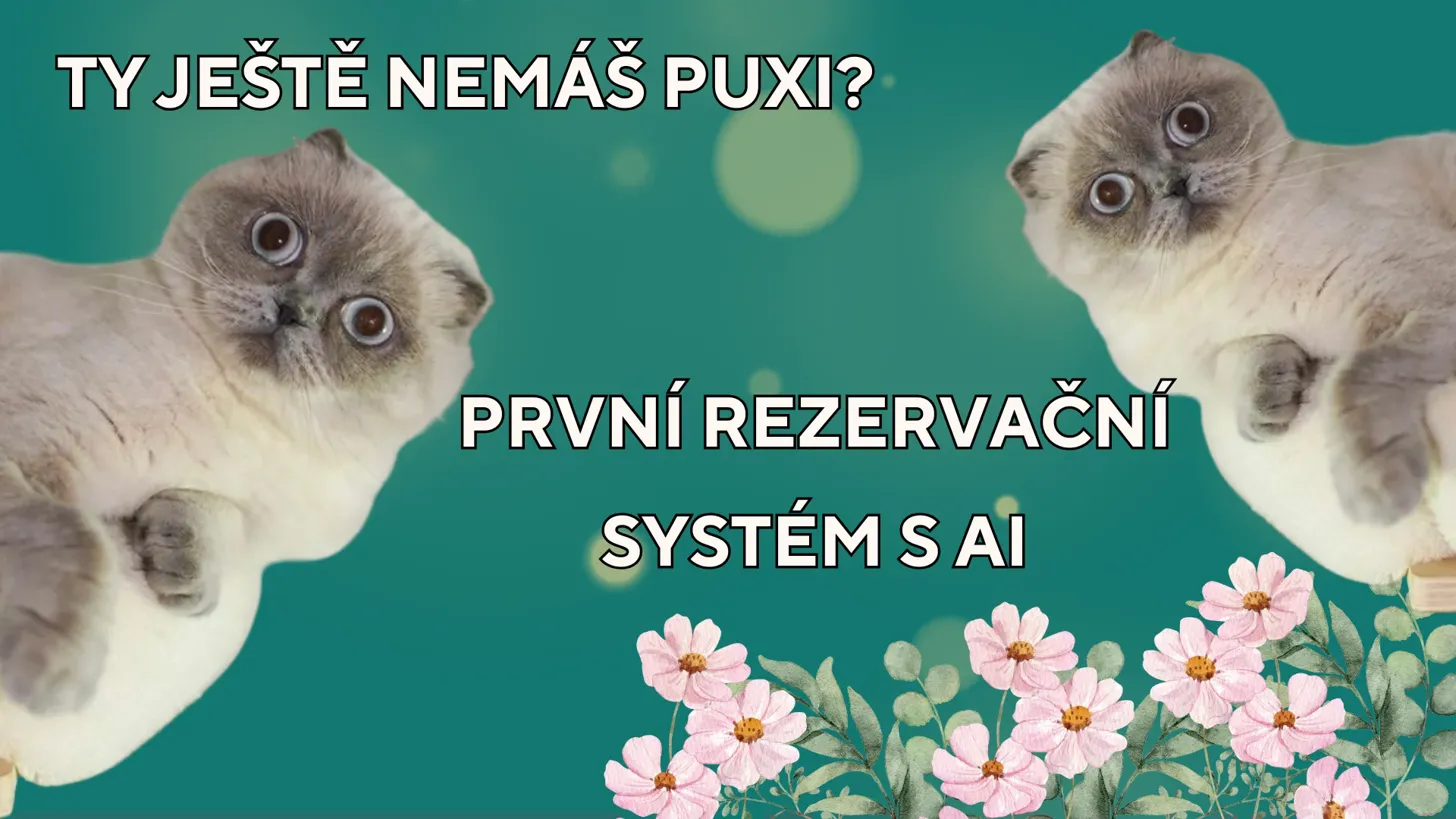 Puxi Demo